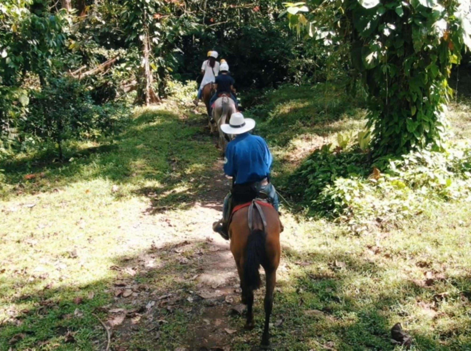 Best Western Hotel&Casino Kamuk Nationalpark Nationalpark Manuel Antonio Exterior foto