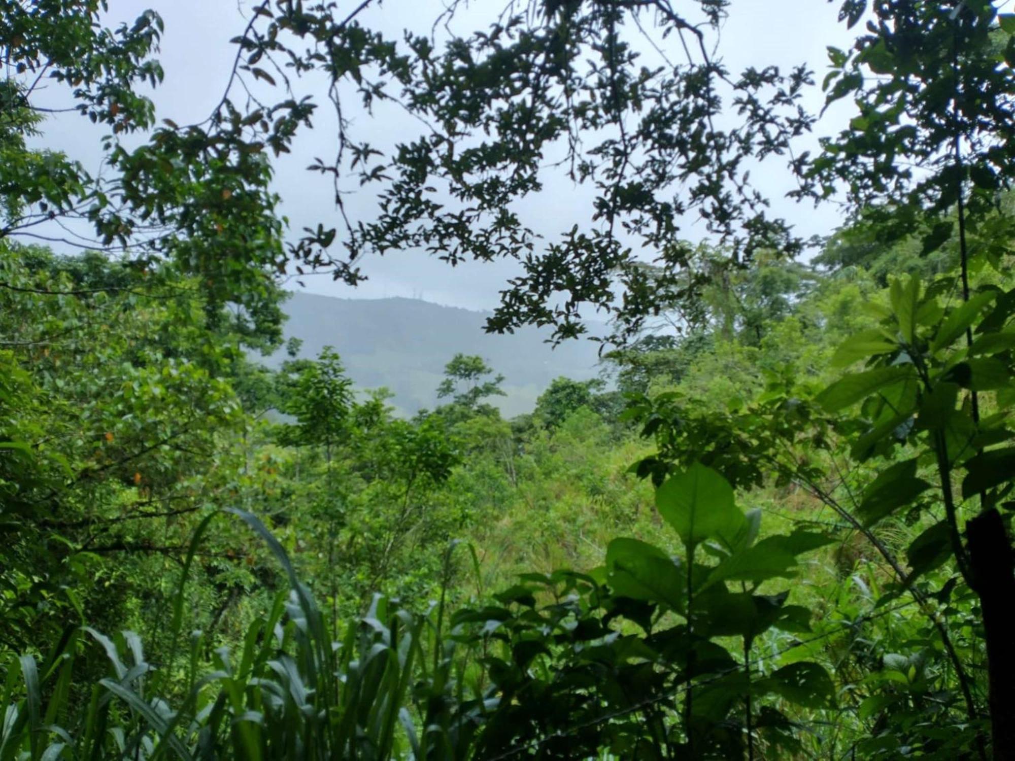 Best Western Hotel&Casino Kamuk Nationalpark Nationalpark Manuel Antonio Exterior foto